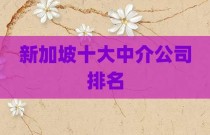 新加坡十大中介公司排名