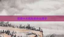 世界十大机车长什么样子