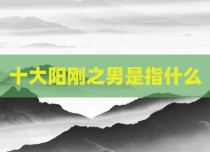 十大阳刚之男是指什么