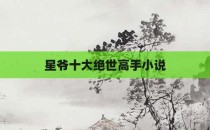 星爷十大绝世高手小说
