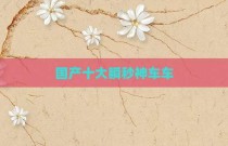 国产十大瞬秒神车车