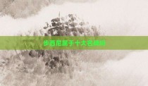 步西尼属于十大名牌吗