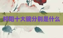 祁阳十大碗分别是什么