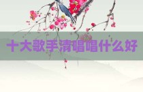 十大歌手清唱唱什么好