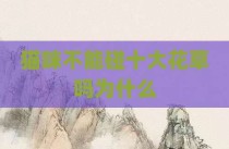 猫咪不能碰十大花草吗为什么