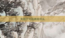天劲十大品牌是什么