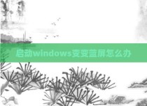启动windows变变蓝屏怎么办