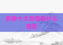 影像十大伪像是什么意思