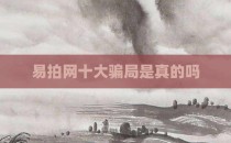 易拍网十大骗局是真的吗