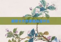 装修十大败家地段是什么