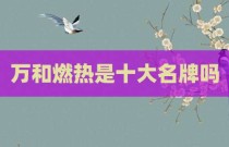 万和燃热是十大名牌吗