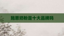 施恩奶粉是十大品牌吗