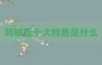 阿根廷十大特色是什么