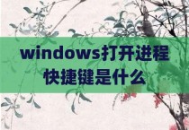 windows打开进程快捷键是什么