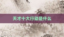 天才十大行动是什么