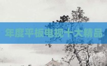年度平板电视十大精品