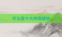 什么是十大神奇植物