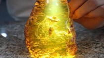 既然琥珀里的昆虫万年不腐，古人为什么不用琥珀给尸体防腐？