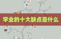 学业的十大缺点是什么