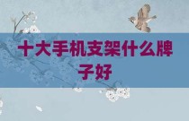 十大手机支架什么牌子好