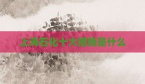上海石化十大措施是什么