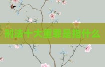 刑法十大重罪是指什么