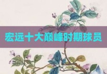 宏远十大巅峰时期球员