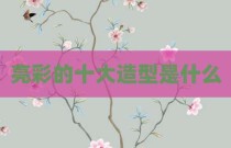 亮彩的十大造型是什么