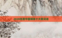 2020年度中国媒体十大新词语