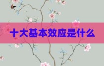 十大基本效应是什么