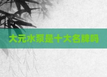 大元水泵是十大名牌吗