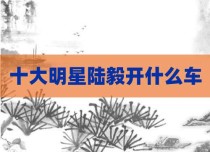 十大明星陆毅开什么车