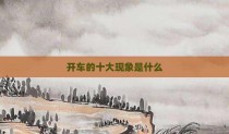 开车的十大现象是什么