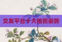 交友平台十大拍照姿势