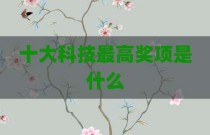 十大科技最高奖项是什么