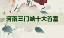 河南三门峡十大首富