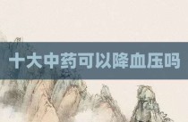 十大中药可以降血压吗
