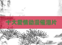 十大爱情动漫催泪片