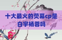 十大最火的荧幕cp是白宇杨蓉吗