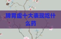 脾胃虚十大表现吃什么药