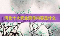 河北十大安全禁令内容是什么