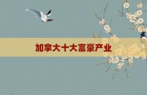 加拿大十大富豪产业