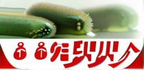 治疗息肉的十大中成药