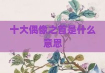 十大偶像之首是什么意思