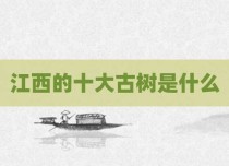 江西的十大古树是什么