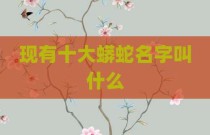 现有十大蟒蛇名字叫什么