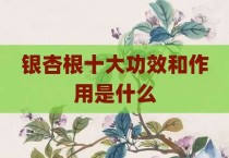 银杏根十大功效和作用是什么