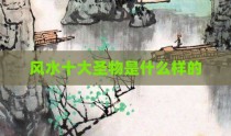 风水十大圣物是什么样的