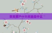 贵宾客户十大权益是什么