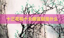 十三花和十大碗区别是什么
